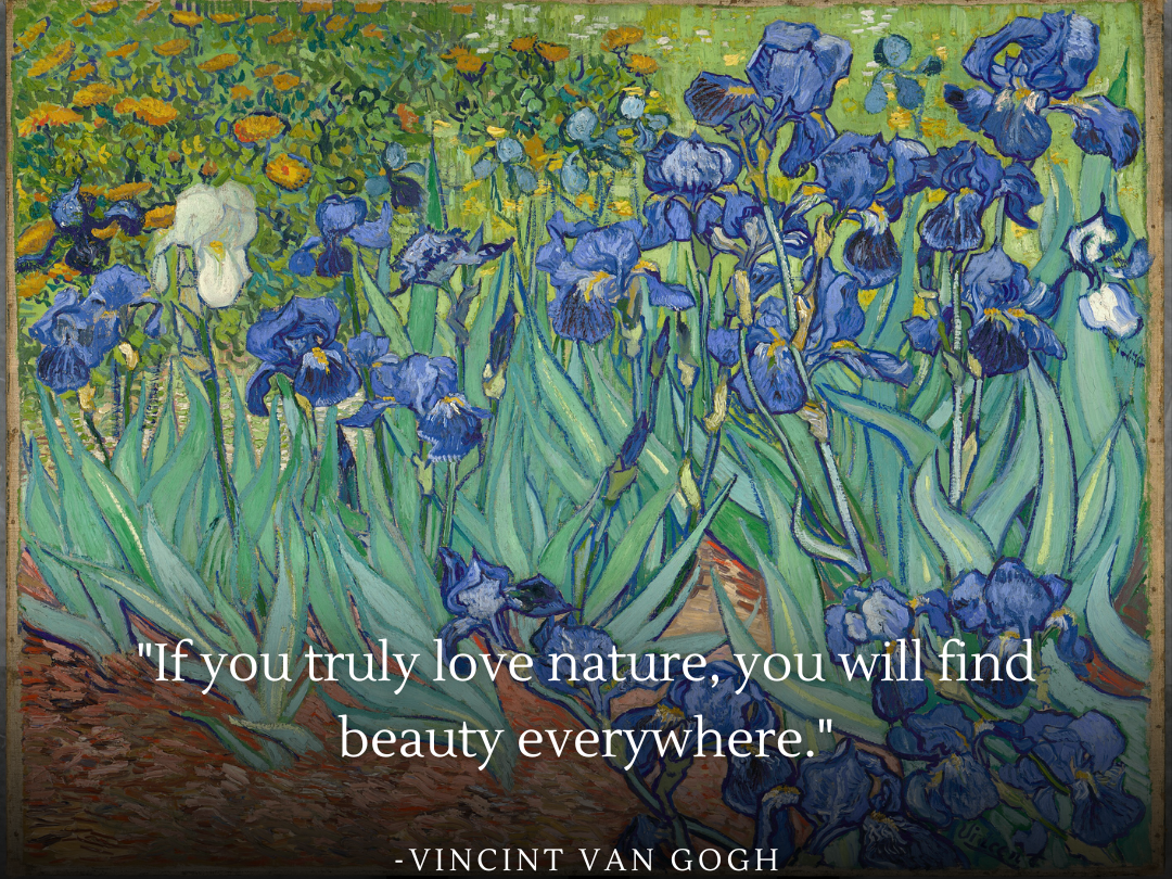 Quote poster featuring Vincent Van Gogh's painting 'Irises' with the quote: 'If you truly love nature, you will find beauty everywhere.' The artwork displays a lush field of blue irises set against a vibrant green background, symbolizing the endless beauty in nature for those who choose to see it.