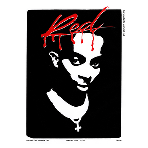 Album cover of Playboi Carti's "Whole Lotta Red" featuring a black and white portrait with red text.