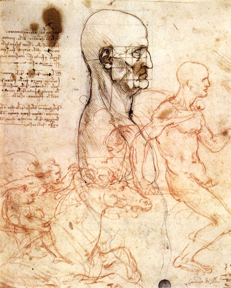 An anatomical drawing by Leonardo da Vinci, featuring a profile of a man and sketches of two riders, showcasing his contributions to the study of human anatomy and art.